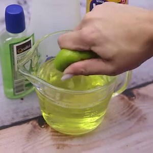 Say goodbye to dog and cat urine. your home always clean and fragrant. | Yum Food