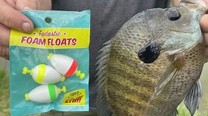 Be on the lookout for Thill Fantastic Foam Floats! | Thill