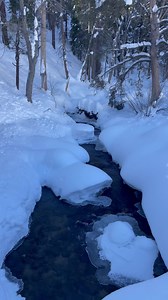 Views from Buckeye Creek! 💦🤩 | Mono County Tourism