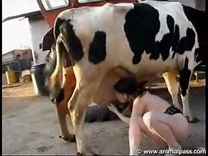 Filthy young naked girl milks a cow for fresh milk then treats the beast to a wonderful blowjob