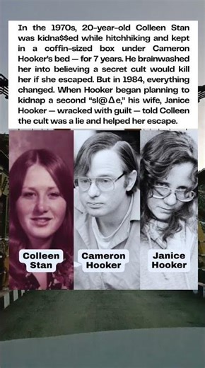 The Woman Who Was Kept in a Box for 7 Years | Colleen Stan’s Unbelievable Survival