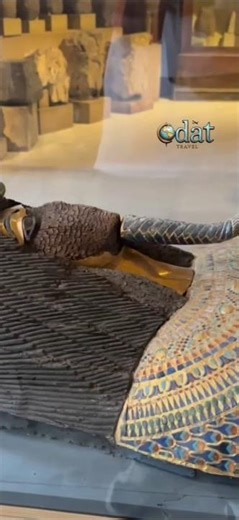 KV55 Mystery Tomb at the Grand Egyptian Musuem #musuem #valley #coffin #Tomb #pharoah #mystery