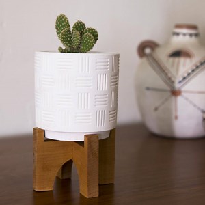 Mid-century modern planter stand 🌱 | Tasty Home