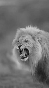 What do you see when you look in the mirror? #motivation #motivationalquotes #mindset #love #motivationalquote | Julie Ewing