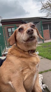Heidi having a good cuddle 🥰 | Barton Dene Boarding Kennels & Cattery