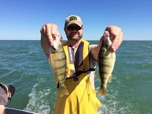 We Ask A DNR Fish Biologist; What Happened To All The Yellow Perch In Saginaw Bay?