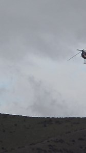 Here's our LJ Hooker helicopter. Ross flying it in today. We've also had stock cars arrive in Kurow and a McLaren! | LJ Hooker Oamaru
