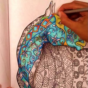 11K views · 497 reactions | ❤️Love Horses!  This Book Is Full Of...