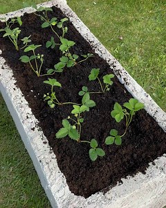 Stunning Large DIY Planter! | Creative Panda