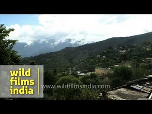 Panoramic view of Himalayan mountains, Uttarakhand