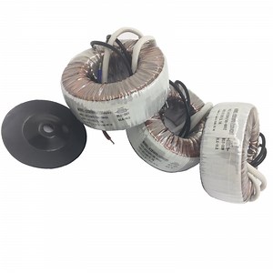 [Hot Item] Durable 300W Toroidal Core Custom Power Transformer for Industrial Use