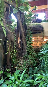 Angkor Palace Resort & Spa on Reels