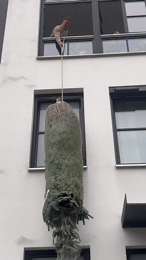 Wer hätte das gedacht ? Ich zumindest nicht 😂 war mir so sicher, dass das einfach nicht aufgeht… Aber jetzt steht er da ☺️🎉 | Lena Gercke