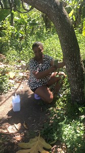 2.5K views · 56 reactions | Encontró la mujer del vecino con otro  | Maria | Facebook