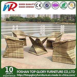 [Hot Item] Outdoor Furniture Garden Dining Table Set for Garden (TG-1655)