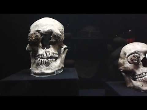 Aztec Giant Nephilim of Tenochtitlan: Evidence Exists