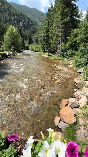 🌲🌲🌲🌲🌲🌲🌲#georgetownco #georagetown #coloradohikes #coloradoviews #coloradosummer #denverco #georgetowntrain #trailcolorado #mountainlife