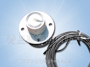 [Hot Item] Platinum and Niobium Auxiliary Anode, Mmo Anode