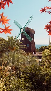 청아한 하늘과 일렁이는 바람, 가을의 색으로 가득한 제주입니다. 이 계절, 완연한 가을이 드리운 롯데호텔 제주를 만끽해 보세요. #롯데호텔 #롯데호텔제주 #LOTTEHOTELS #가을여행 #가을호캉스 #제주 #제주여행 | LOTTE HOTEL JEJU 롯데호텔제주