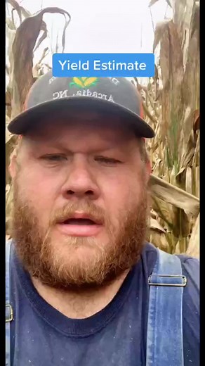19K views · 211 reactions | Corn yield estimate! @NKSeeds #nkpartner #corn #farmtok #farmer #northcarolina #grain #farming #cornseed #bluecollar #money #harvest #harvest22 | Birthdaymonth10 | Facebook