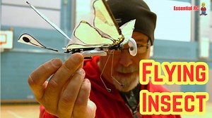 6.5K views · 82 reactions | FLYING INSECT ! BionicBird MetaFly Ornithopter Flaps its Wings to Fly | Essential RC | Facebook