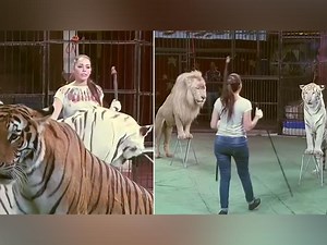 Watch | Egypt’s female ringmaster