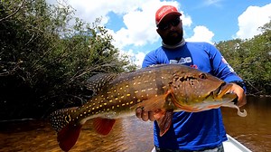 329K views · 7.1K reactions | NUM IGARAPÉ RASO TIVEMOS MUITAS...