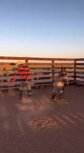 Handheld, vertical amateur smartphone footage filmed in a dusty, outdoor wooden cattle corral during golden hour. The low sun blasts directly into the lens, creating harsh silhouettes and lens flares. The scene captures a chaotic chase: a terrifying bipedal cryptid, resembling a "Dogman" or werewolf with dark, matted fur and a canine head, is frantically running around the enclosure. The action is fast and kinetic: The creature slams violently against the wooden fence panels, making the structur