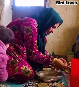 47K views · 1.3K reactions | Where Winter Finds Shelter ️❤️ — A Mountain Life Story | Bird Lover | Facebook