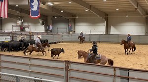 Happening now at CAM-PLEX East Pavilion! Wyoming Cutting Horse Association American Quarter Horse Association | CAM-PLEX