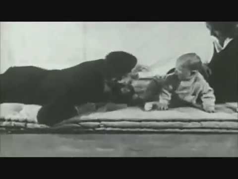 The Little Albert Experiment