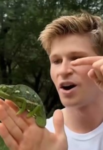 Robert Irwin Saves Unique Reptile 🦎👏 #Wildlife