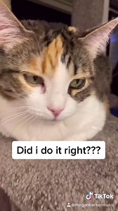 Did I do it right? | Megan Barker