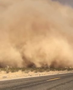 Arizona #haboob captured on video. 🧟‍♂️💨 . #az #arizona #monsoonseason #gnarly #repost . DM for 🎥 credit | Lifted Trucks