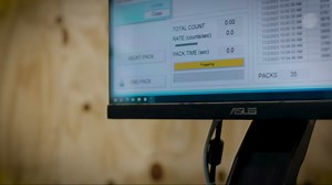 Outsidepride Mix African Daisy Seeds - 5000 Pcs. Annual Flower Seeds for Planting Outdoors with Long-Lasting Blooms, Drought-Tolerant, Easy to Grow for Sunny Gardens & Borders