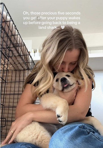Golden Retriever Puppies: Adorable Moments and Training Tips