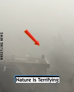 2.4K views · 22 reactions | Nature Is Terrifying | Wrestling News | Facebook