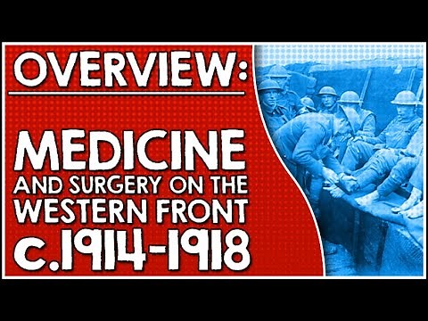 Overview: Medicine and surgery in the British sector of the Western Front
