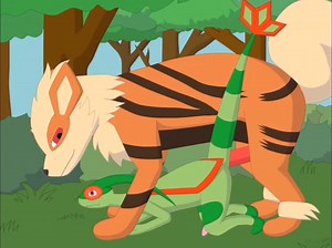 Arcanine x flygon