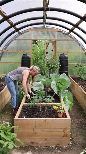 5.7K views · 100 reactions | Training crops to grow up string is a...