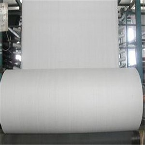 [Hot Item] PP Woven Fabric for Making Bags