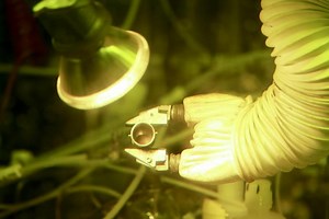 Scientists Are Automating Plutonium Production So NASA Can Explore Deep Space