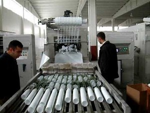 Fully Automatic Disposable Plastic Glass Manufacturing Machine M- 08360540277