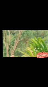 2.6K views | #monday first day day of school days.. #meditationfirst #start your day with positive vibes... | Kindergarten Compilation Files | Facebook