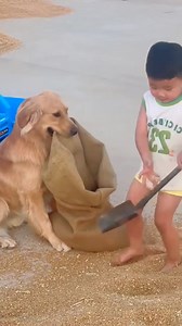 Unconditional love and loyalty ❤️ | Awesome World