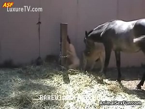 Mature soumise ligotée puis baisée par un chien et un cheval