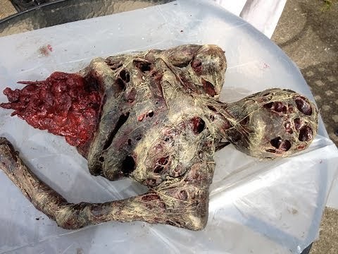 How to Make a Corpse