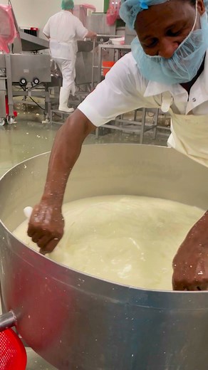 A day in production and another day mastering the art of curd stretching 🧀✨ Our production teamwork extremely hard in transforming fresh milk to cheese. Just look at that delicious, mesmerizing curd!😋 #curd #stretchingcurd #production #productionteam #thatsamorecheese #cheesemaking #cheeseproduction # business #thomastown #melbourne | That's Amore Cheese