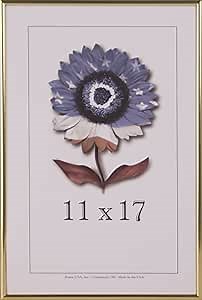 Frame USA Metal 1 Series 11x17 Frames for Photos and Art (Gold)