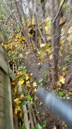 When it all falls down who ya gonna call? #jitlandscapeandtreeservice #PropertyCareMadeEasy #trendingreelsvideo #fypシ #fall #professionalmode #PropertyCare #treecowboy #treeservice #fypchallenge | JIT Landscape & Tree service